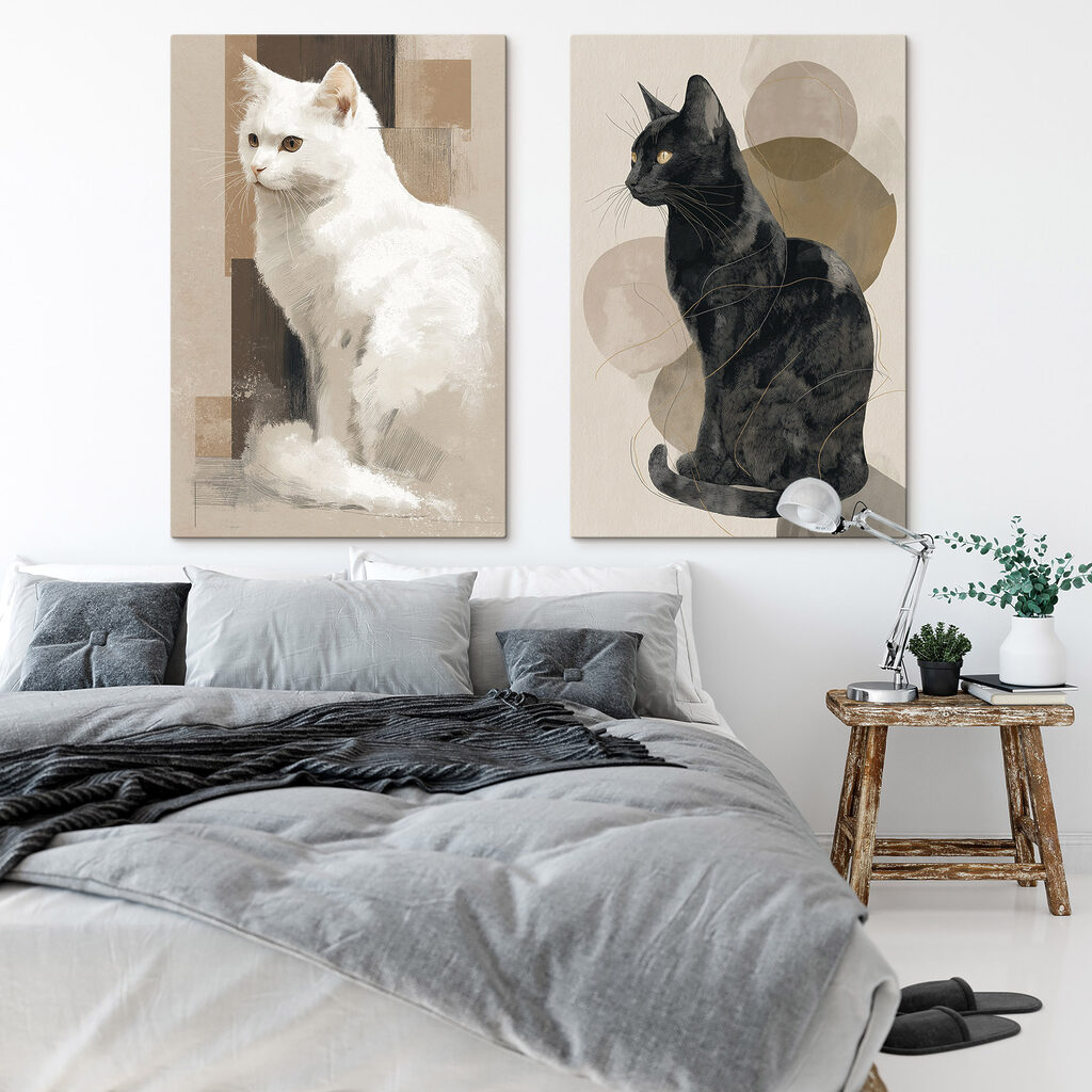 Gatos blanco y negro en un interior