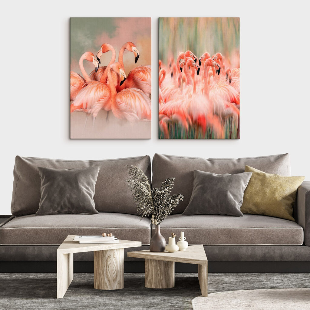 Flamencos difuminados en movimiento — interior 2