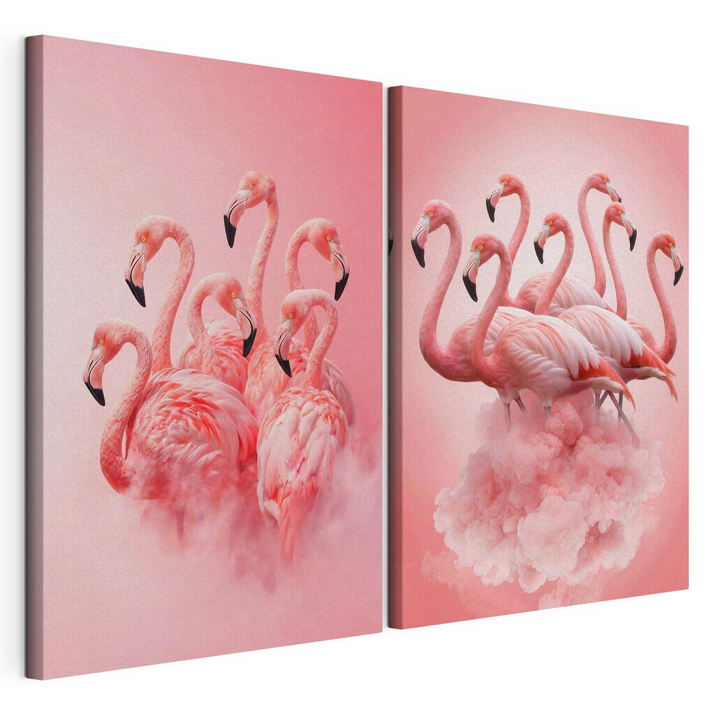 Flamencos entre nubes — vista del producto
