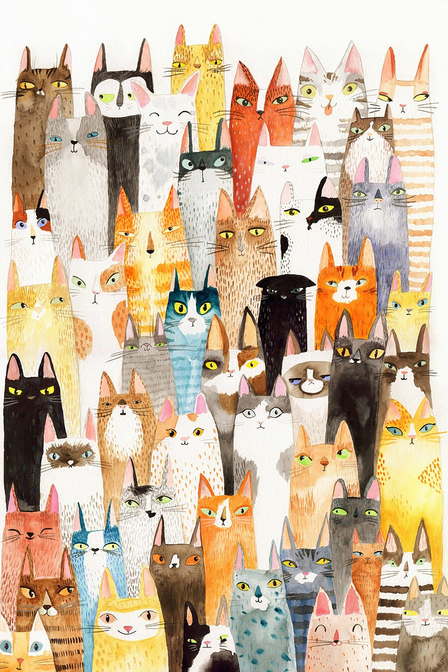 Un mundo de gatos — diseño completo