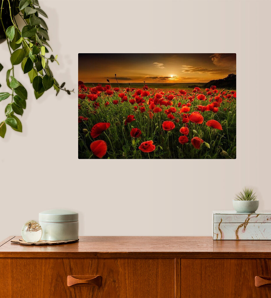 Amapolas al atardecer en un interior