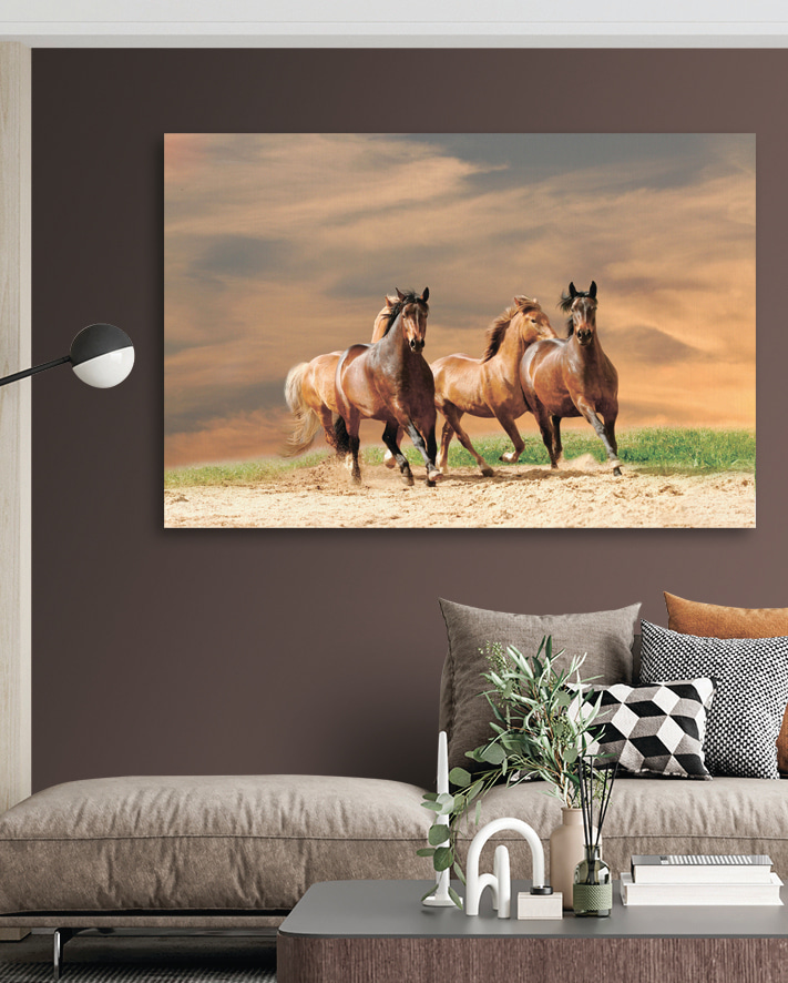 Caballos al viento en un interior