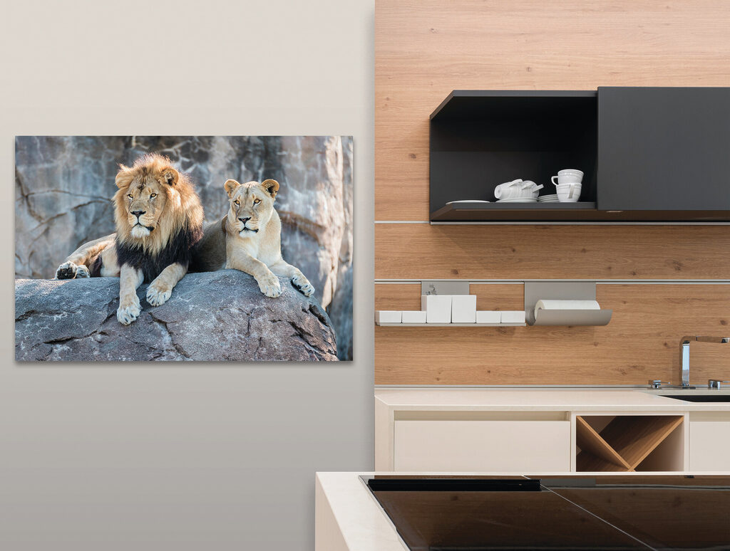 Leones descansando juntos — interior 2
