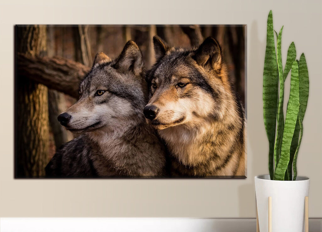 Lobos entre troncos — interior 1