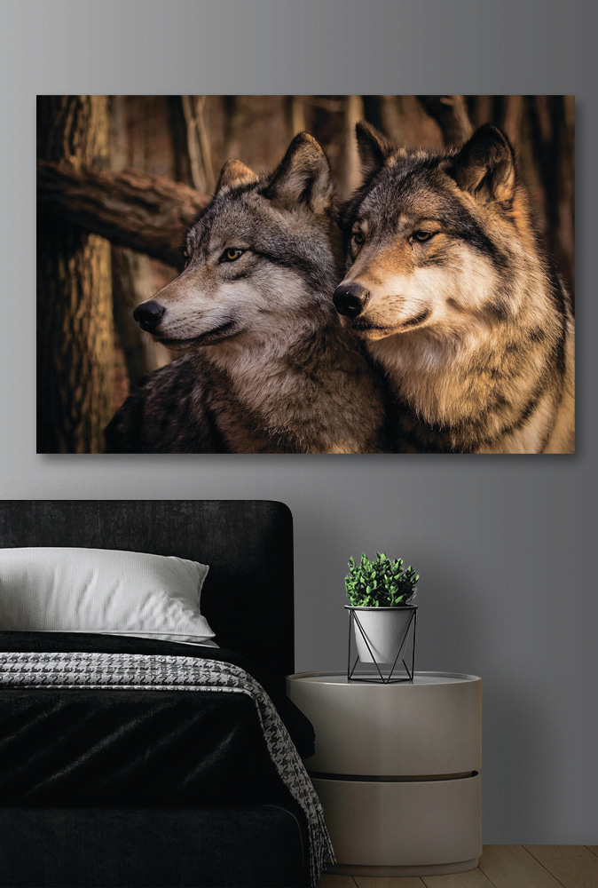 Lobos entre troncos — interior 2