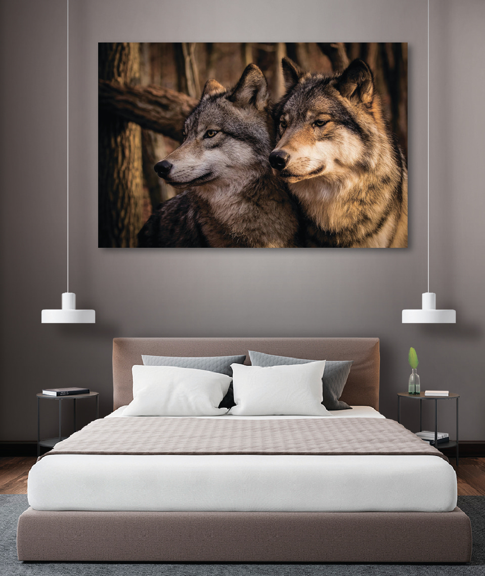 Lobos entre troncos — interior 3