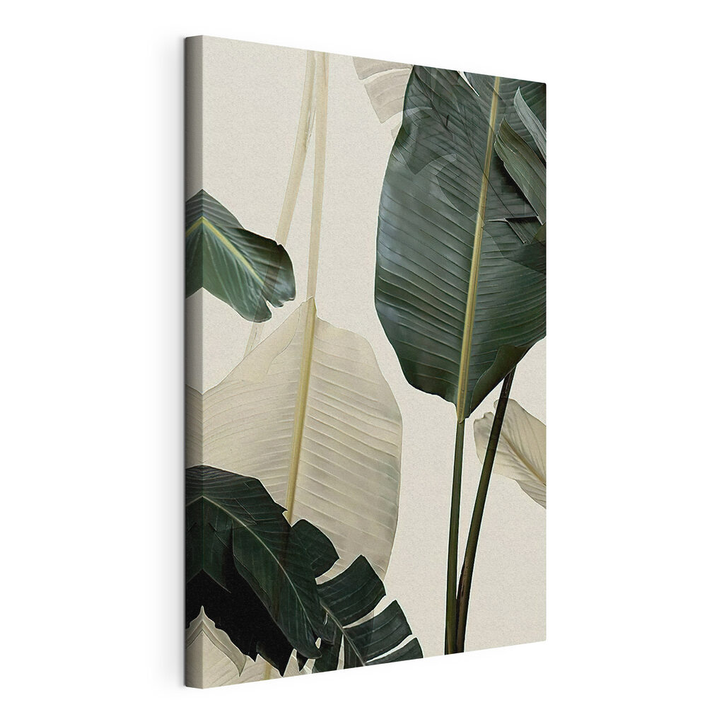 Hojas de plátano — vista del producto