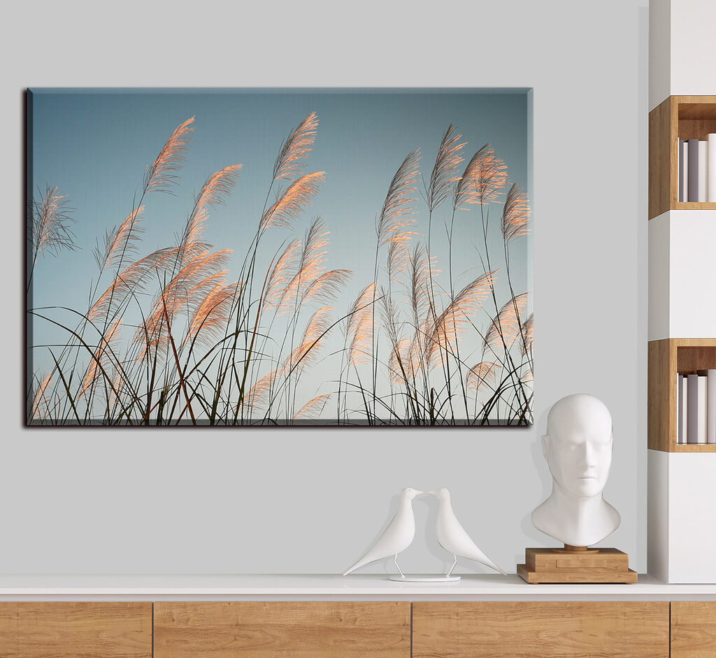 Penachos al viento — interior 1