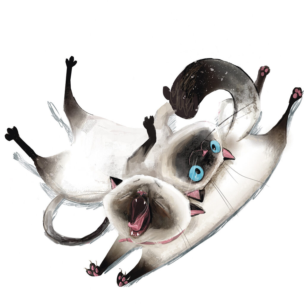 Dos gatos haciendo volteretas — diseño completo