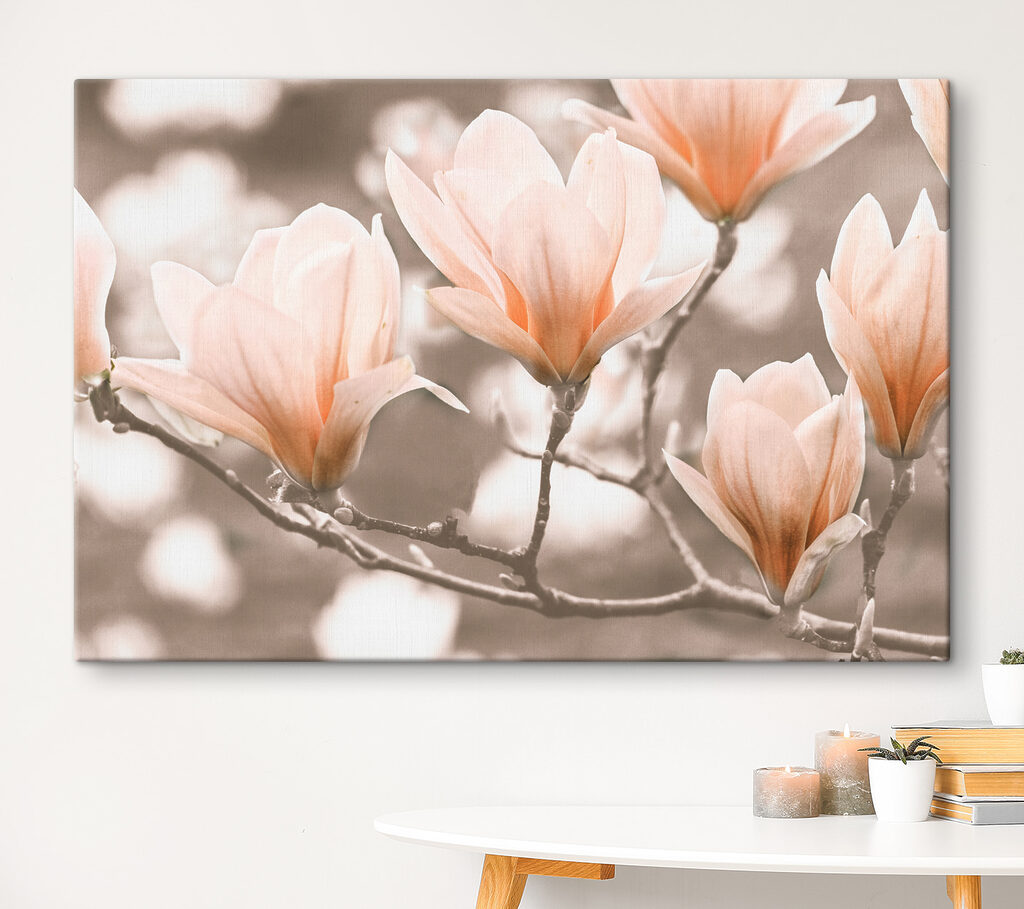 Magnolias en ramas — interior 3