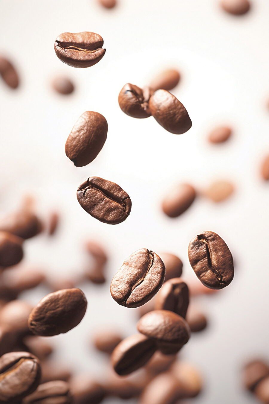 Granos de café flotantes — diseño completo