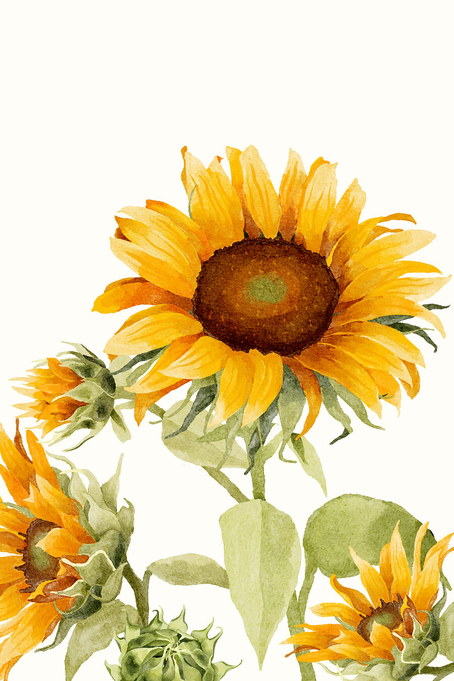 Girasol hacia lo alto — diseño completo