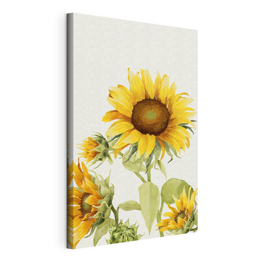 Girasol hacia lo alto, lienzo tensado con el borde envolvente