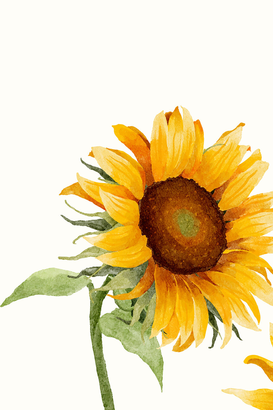 Girasol de perfil — diseño completo