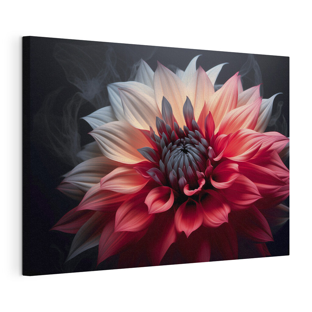 Dalia de dos colores, lienzo tensado con el borde envolvente