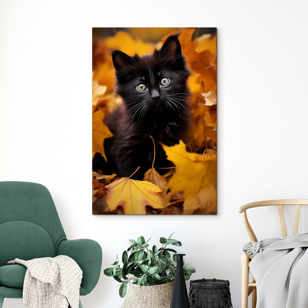 Gato negro en otoño — interior 1