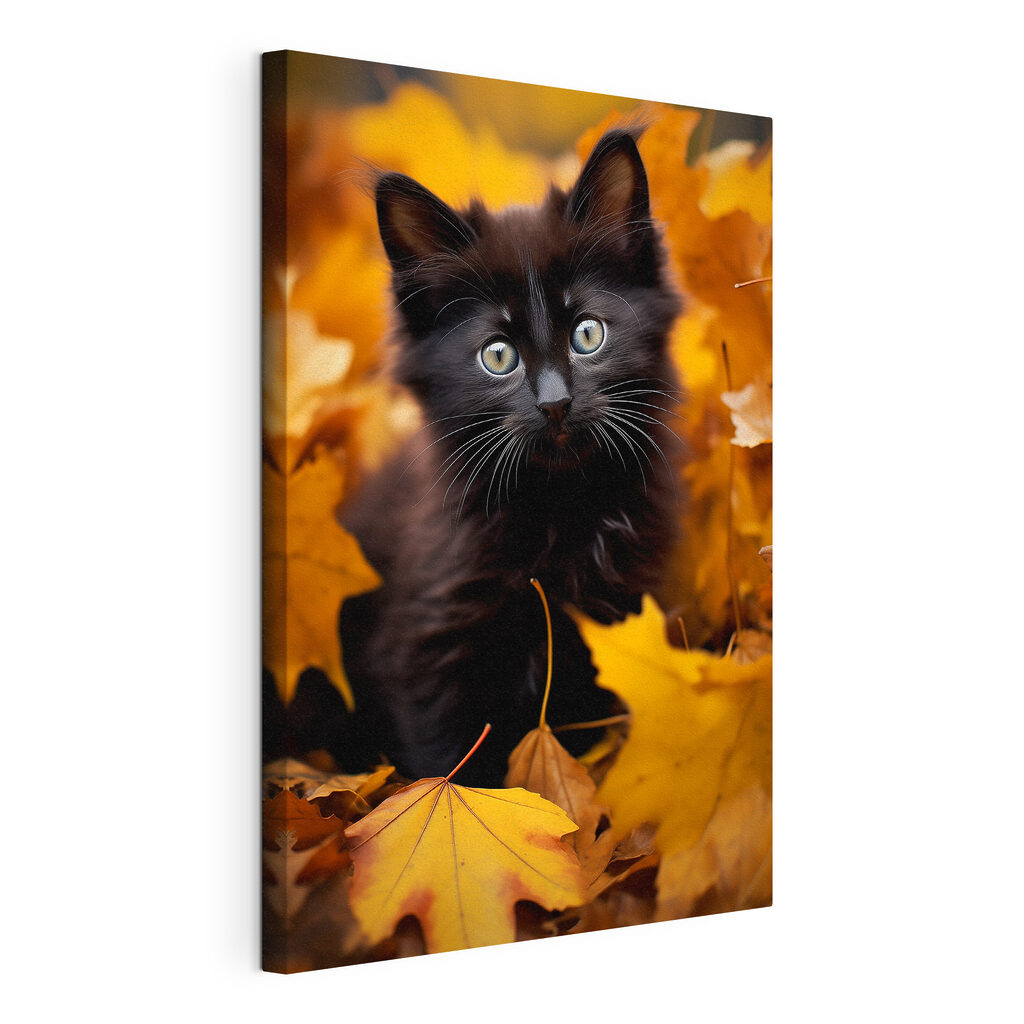 Gato negro en otoño — vista del producto
