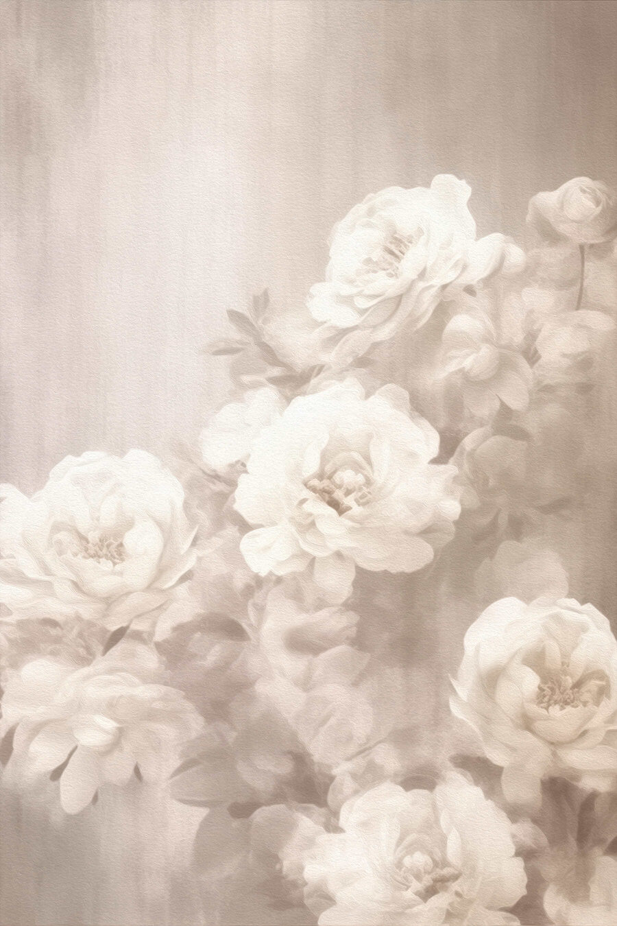 Rosas blancas entre velos — diseño completo