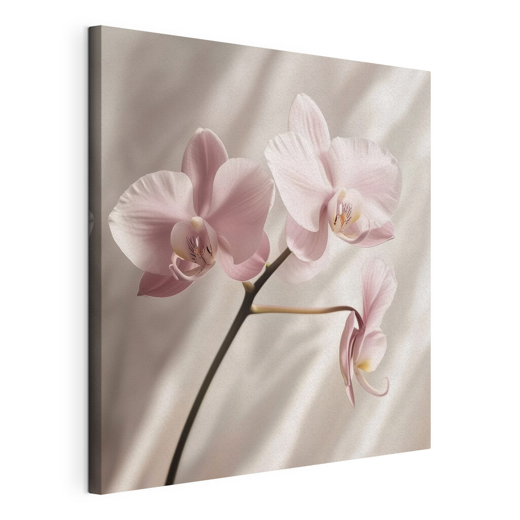 Orquídea rosa y pliegues, lienzo tensado con el borde envolvente