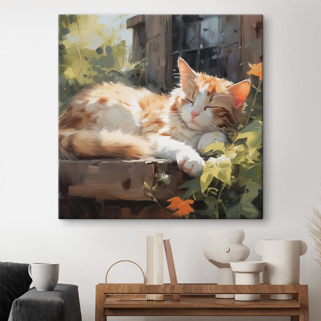 Gato dormido al sol — interior 2