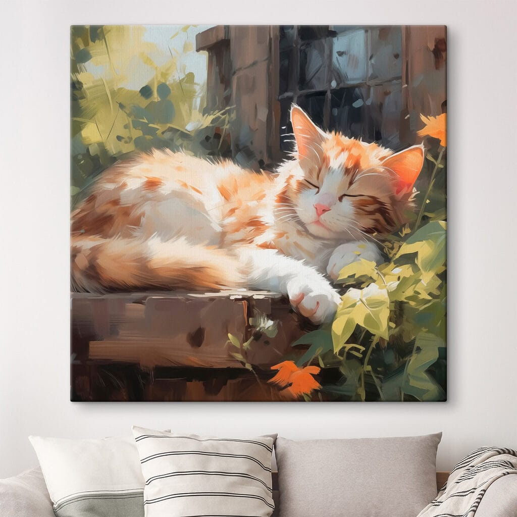 Gato dormido al sol — interior 1