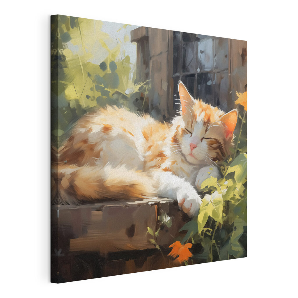 Gato dormido al sol, lienzo tensado con el borde envolvente