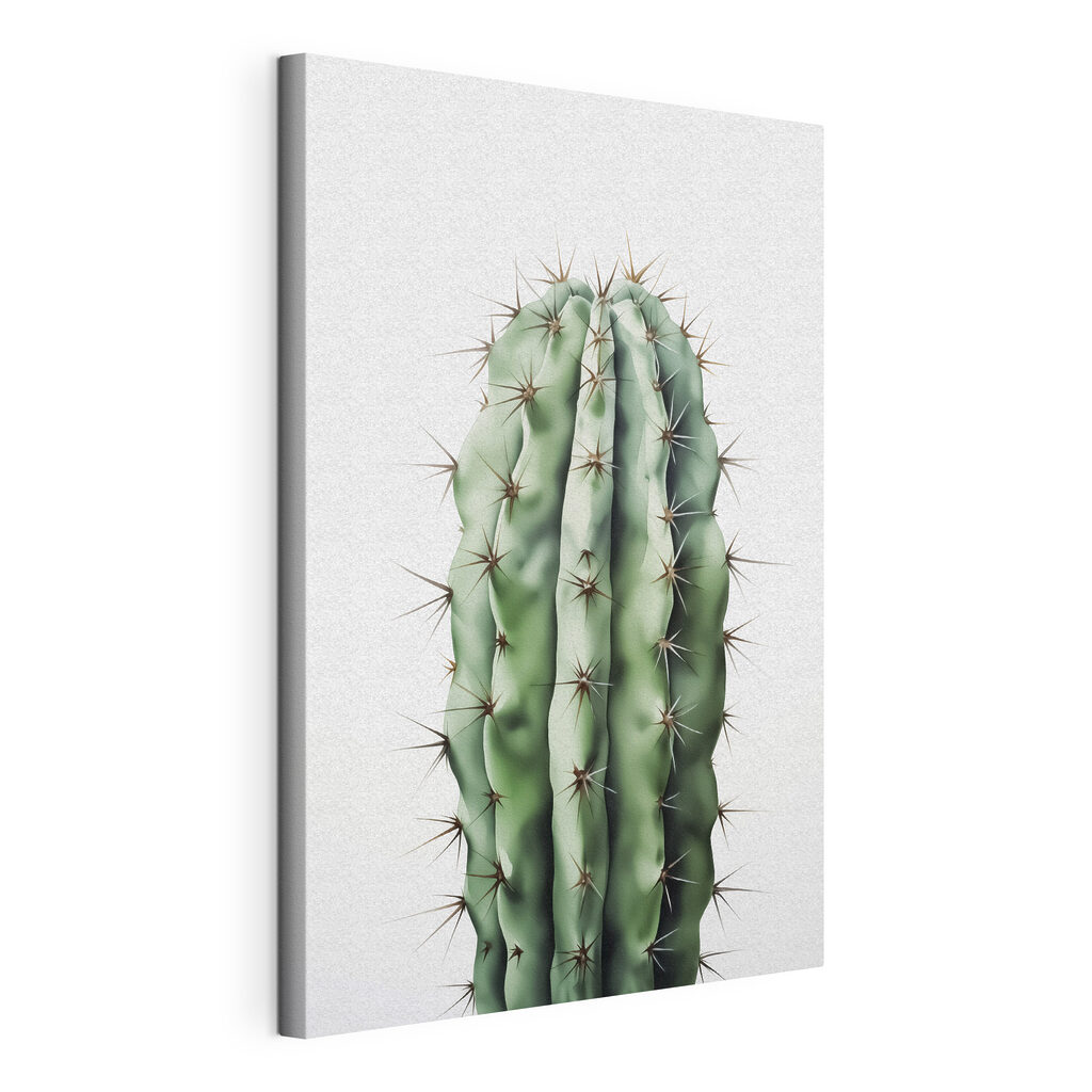 Cactus columnar sobre blanco, lienzo tensado con el borde envolvente