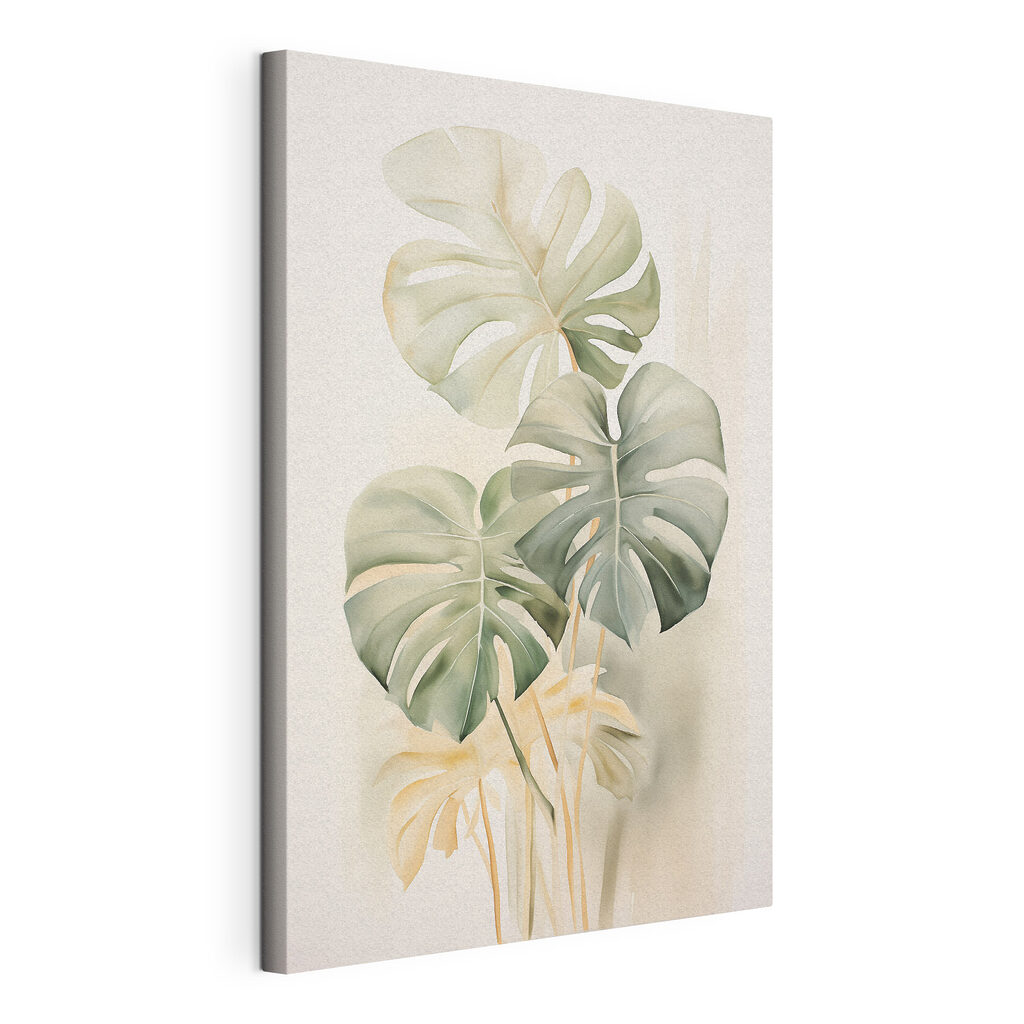 Monstera de hojas pálidas, lienzo tensado con el borde envolvente