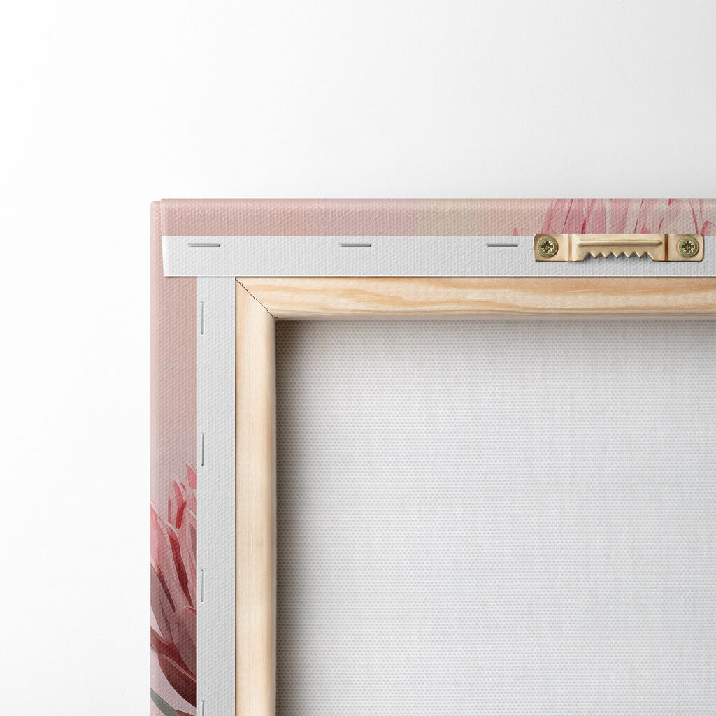 Protea rosa sobre pastel — parte trasera
