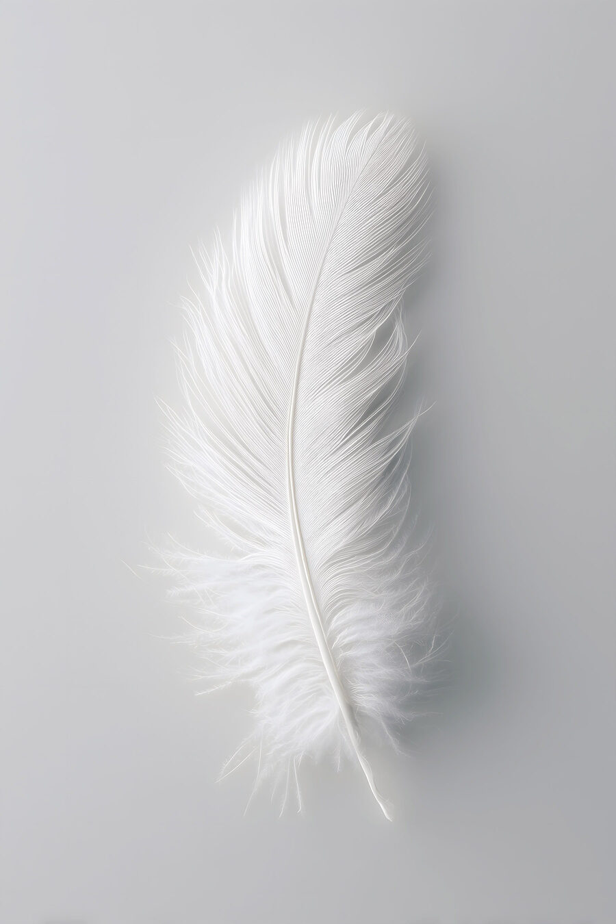 Pluma blanca sobre gris — diseño completo