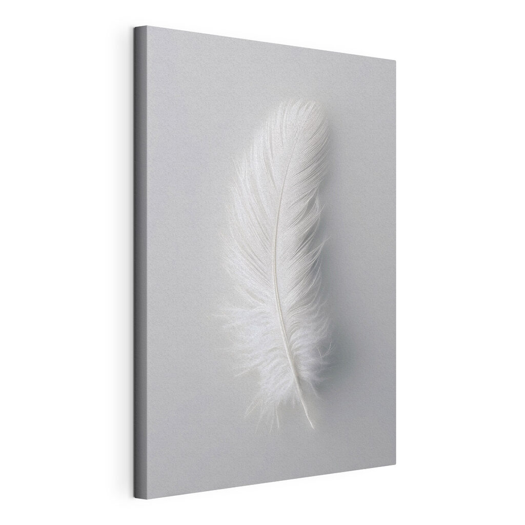 Pluma blanca sobre gris, lienzo tensado con el borde envolvente