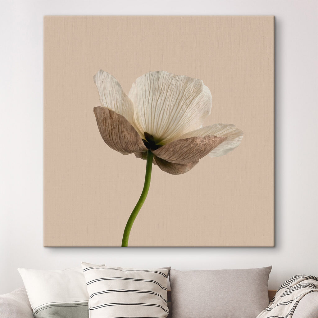 Flor sobre tallo verde — interior 1