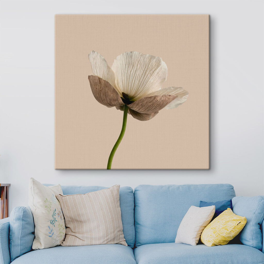 Flor sobre tallo verde — interior 2