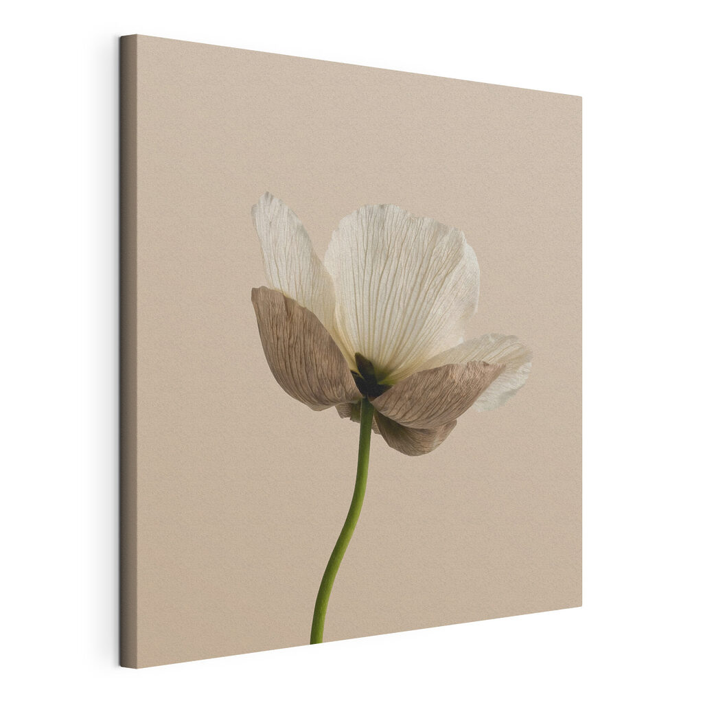 Flor sobre tallo verde, lienzo tensado con el borde envolvente