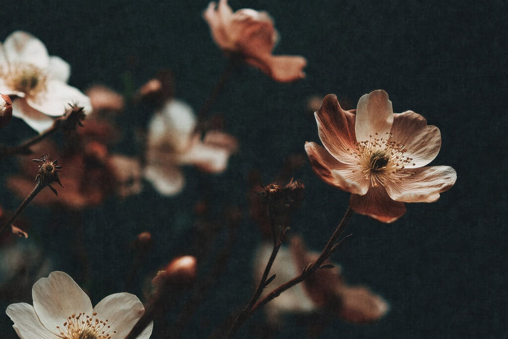 Flores color óxido — diseño completo