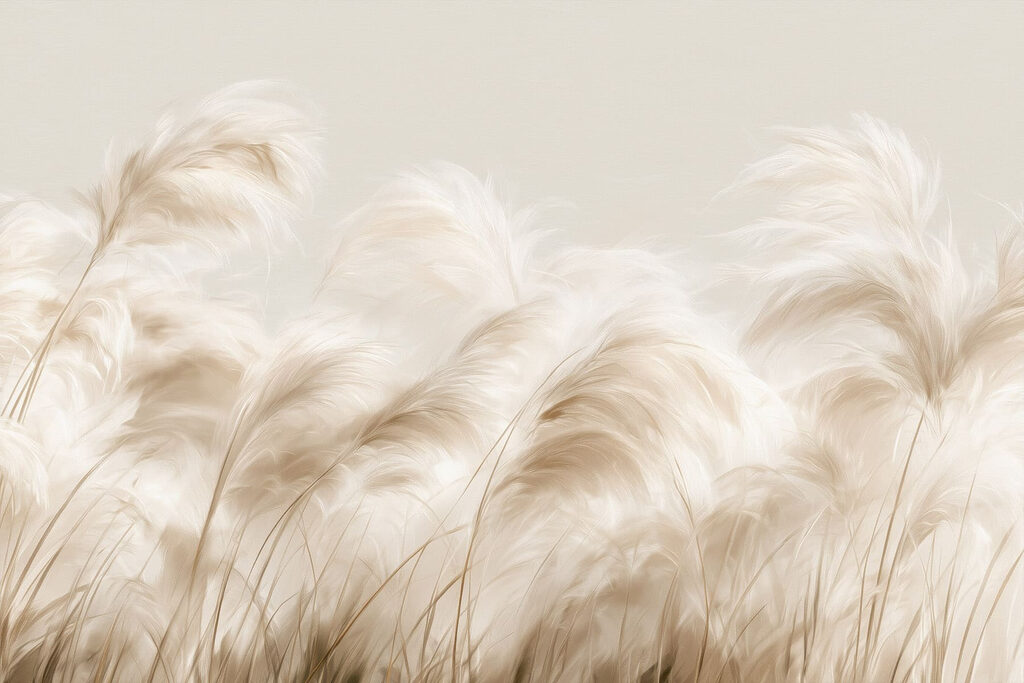 Plumas blancas al contraluz — diseño completo