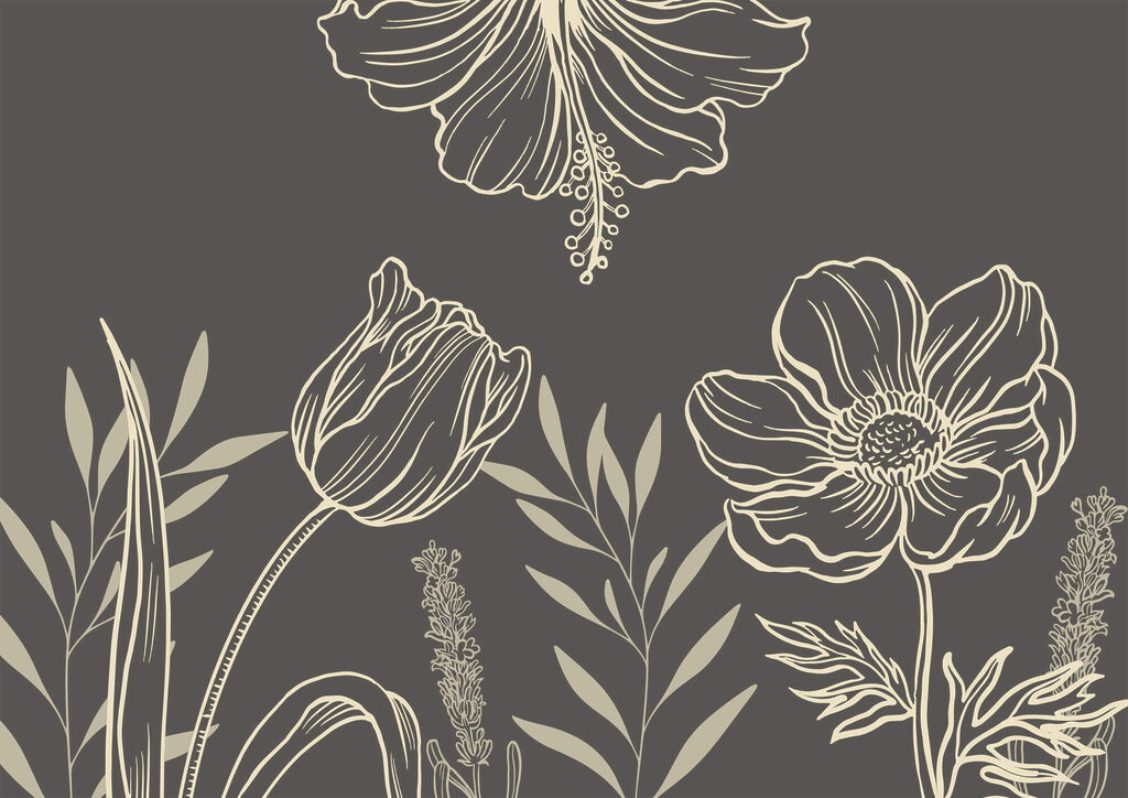 Contornos de flores — diseño completo