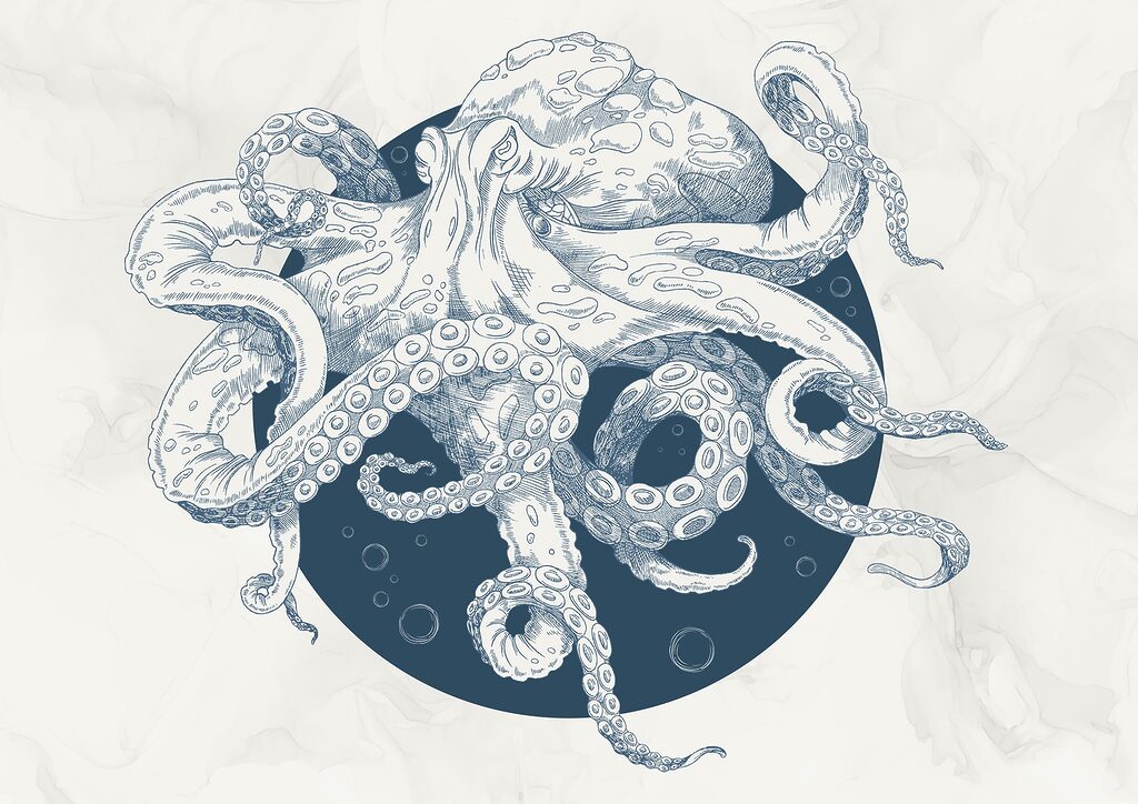 Pulpo en espiral — diseño completo