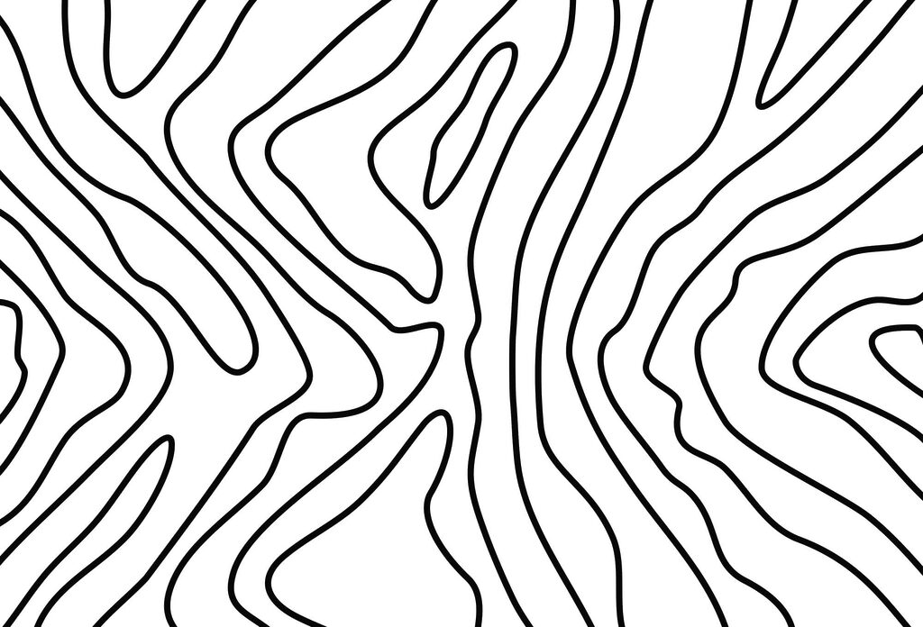 Líneas ramificadas — diseño completo