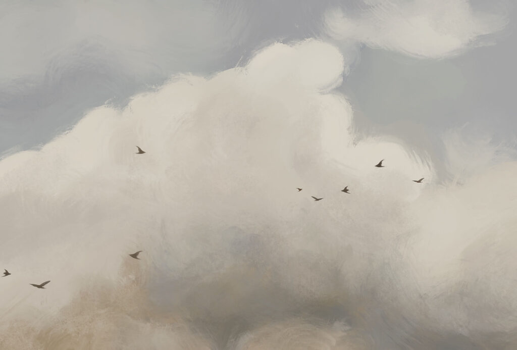 Pájaros bajo las nubes — diseño completo