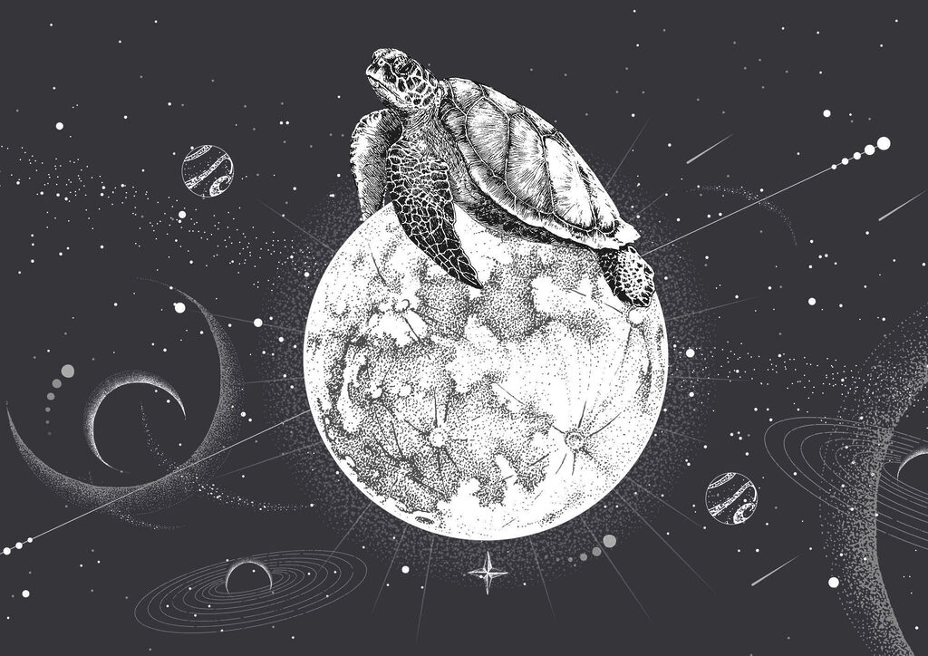 Tortuga en la luna — diseño completo