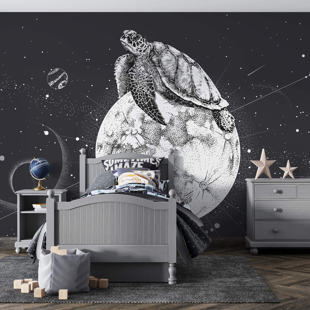 Tortuga en la luna en un interior
