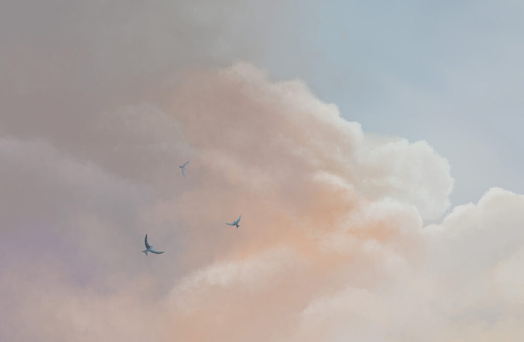 Nubes rosas sobre azul — diseño completo