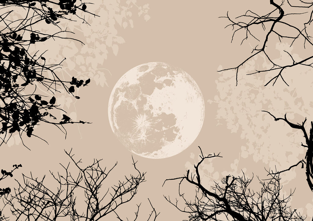 Luna entre ramas desnudas — diseño completo
