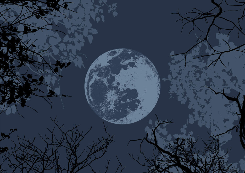 Luna entre ramas desnudas — diseño completo
