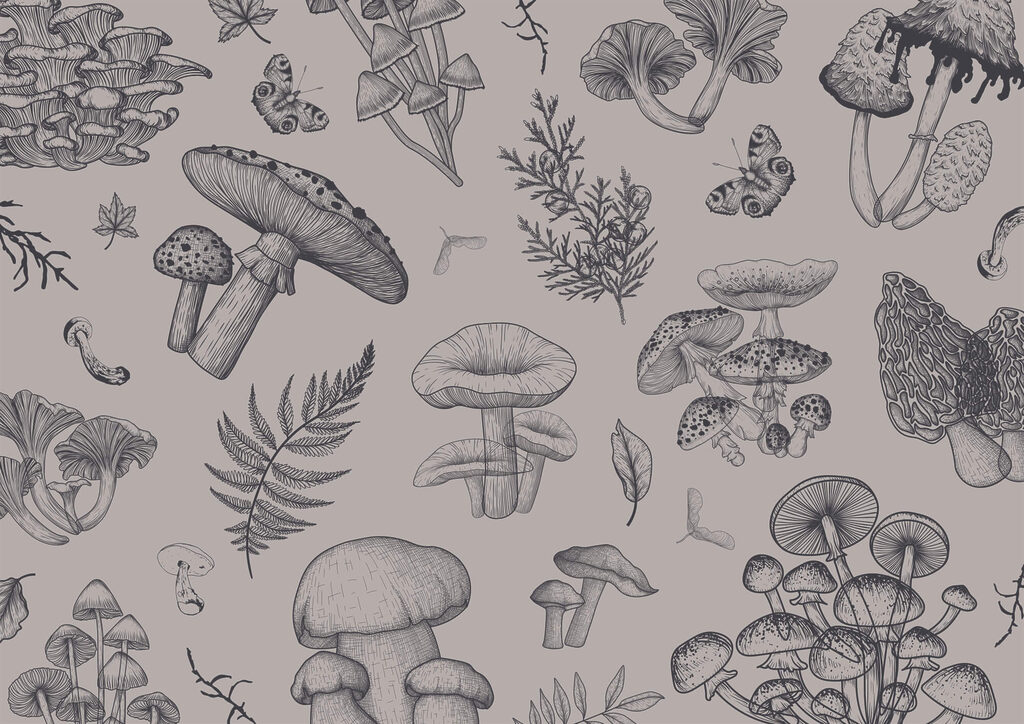Setas en líneas finas — diseño completo