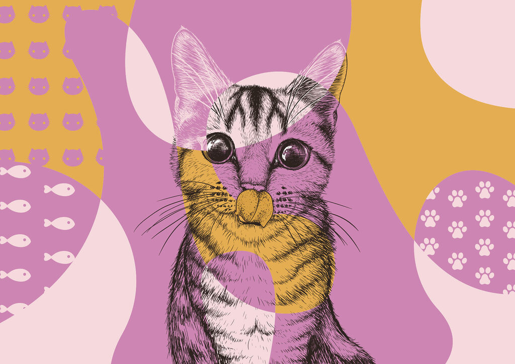Gato de formas coloridas — diseño completo