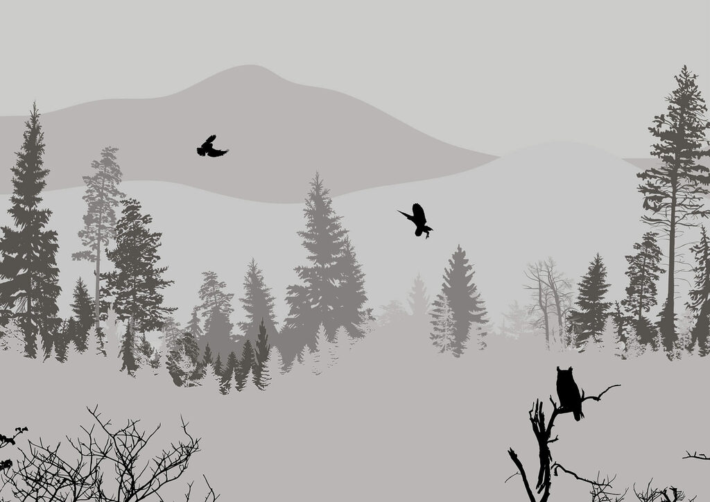 Aves entre montañas — diseño completo