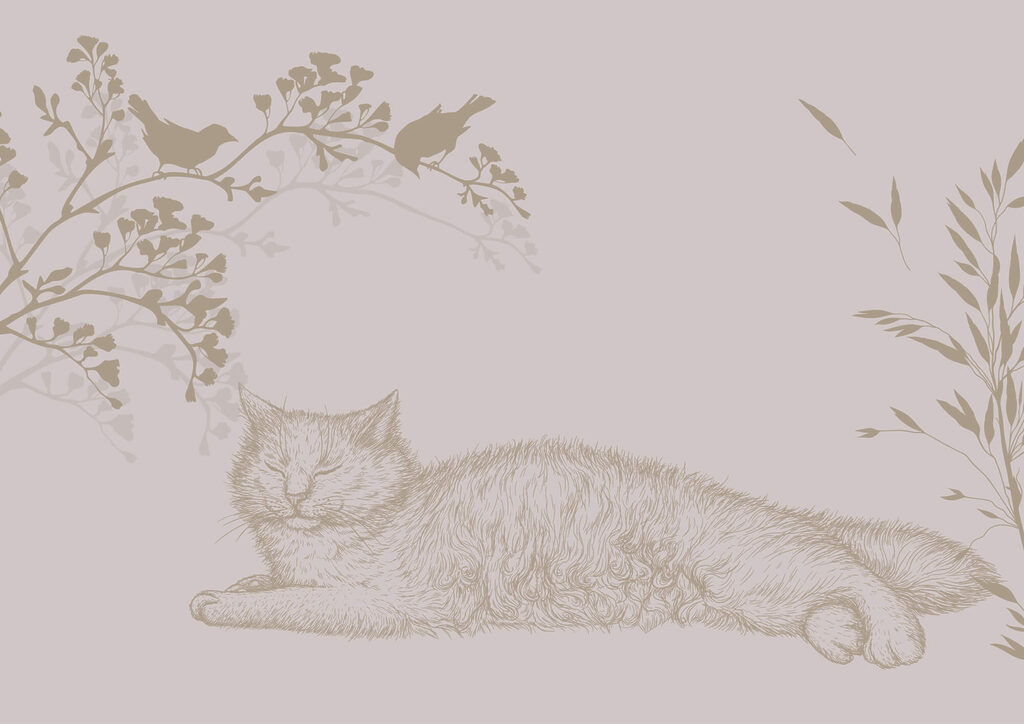 Gato dormido bajo ramitas — diseño completo