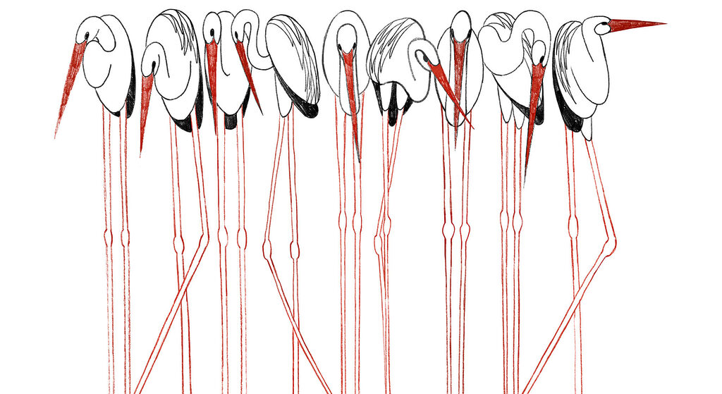 Pájaros sobre patas rojas — diseño completo